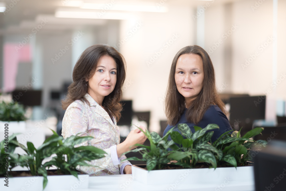 Businesswomen Having Informal Meeting In Modern Office Businesswomen Having Informal Meeting In Modern Office