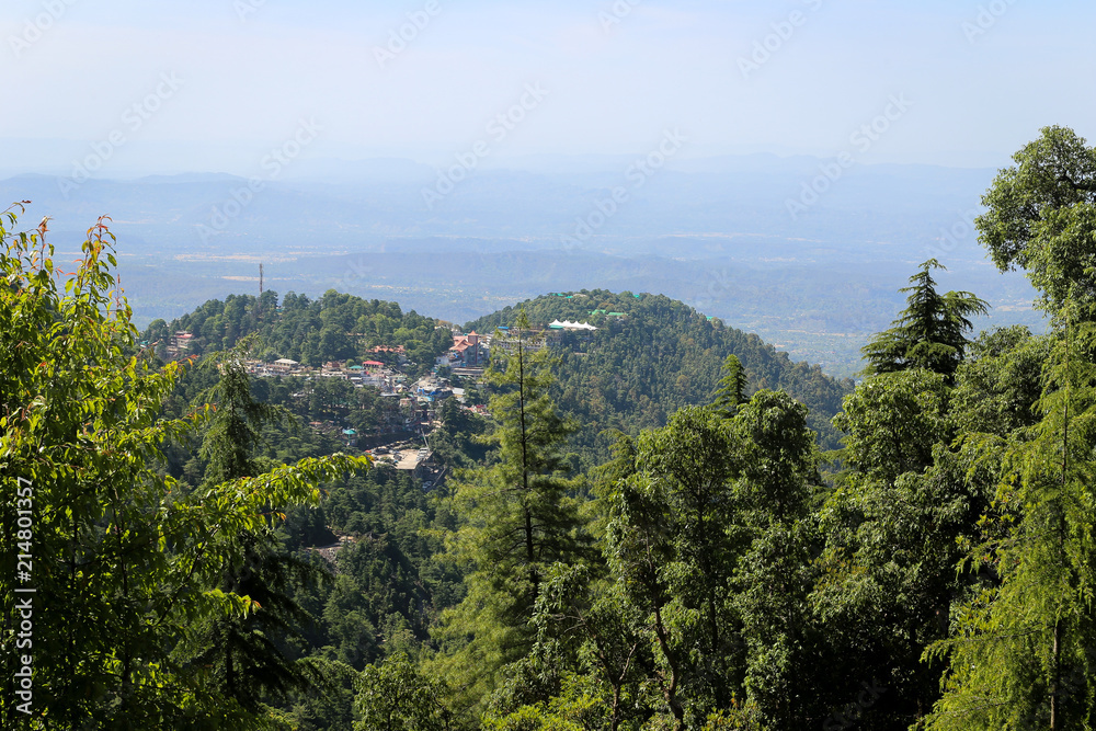 McLeod Ganj, Upper Dharamsala, Himachal Pradesh, India, Asia