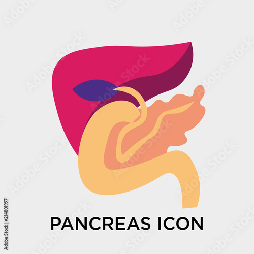 Pancreas icon vector sign and symbol isolated on white background, Pancreas logo concept