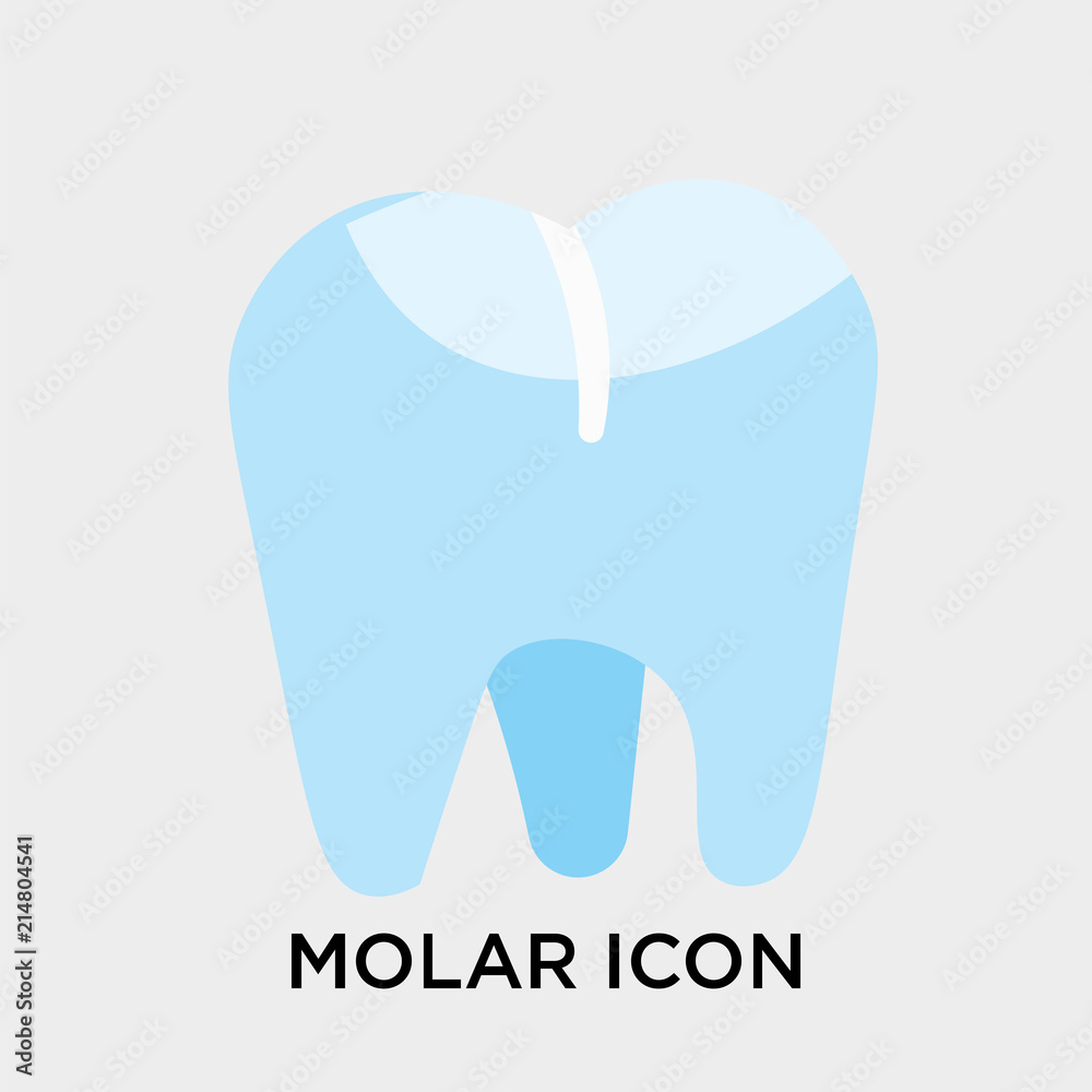 Molar icon vector sign and symbol isolated on white background, Molar logo concept Molar icon vector sign and symbol isolated on white background, Molar logo concept