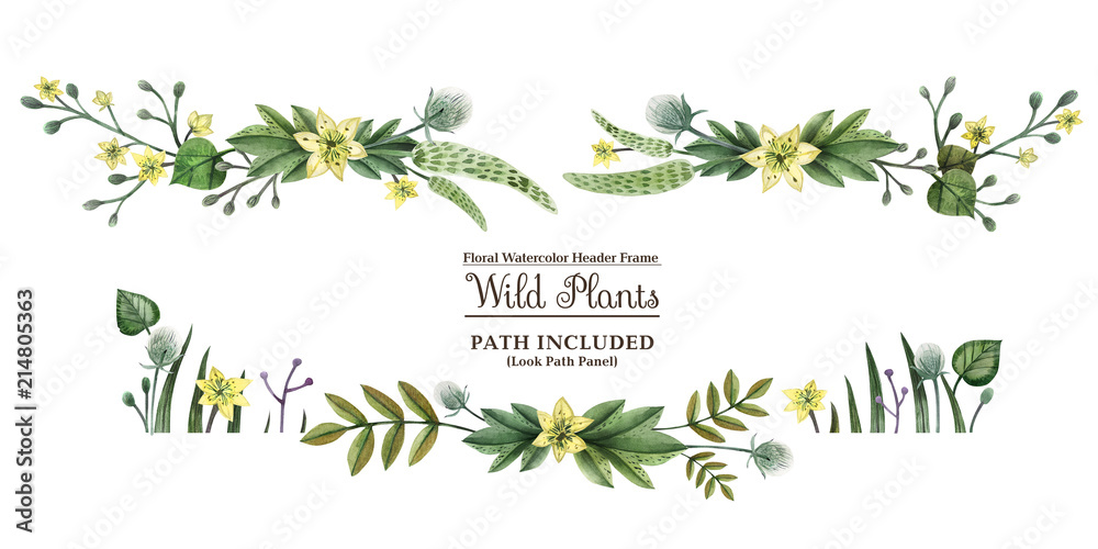 Wild Plants hand painted watercolor headline banner