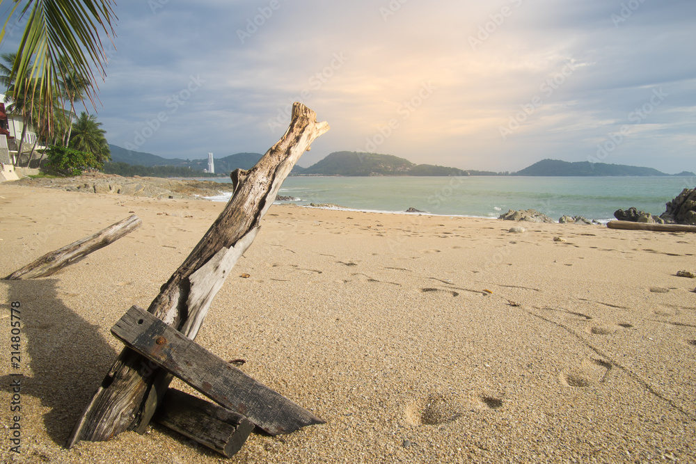 dead dry trunk branch tree with shadow on sand beach, mountain and sea are background, shoeprint on sand dead dry trunk branch tree with shadow on sand beach, mountain and sea are background, shoeprint on sand
