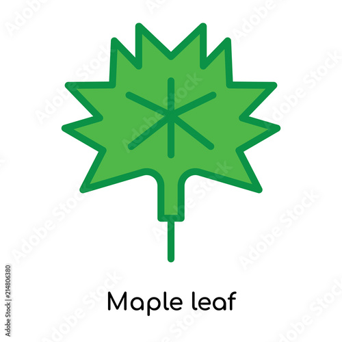 Maple leaf icon vector sign and symbol isolated on white background, Maple leaf logo concept