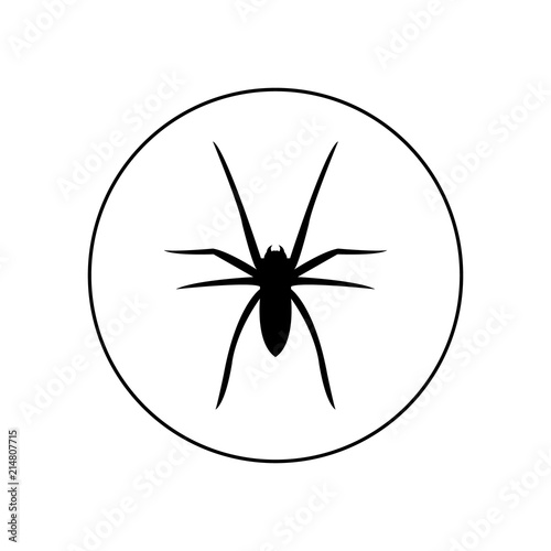 Spider icon, logo