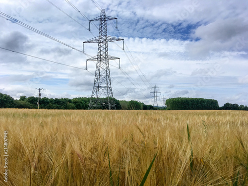 Electricity pylons in wheat field