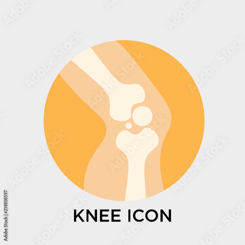 Knee icon vector sign and symbol isolated on white background, Knee logo concept
