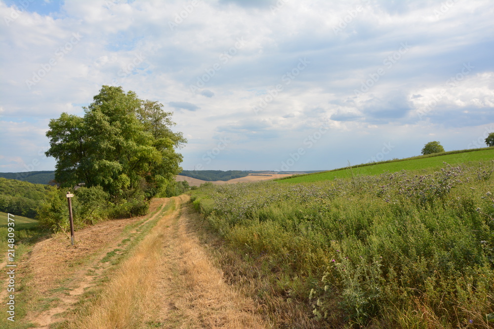 Obraz premium nature