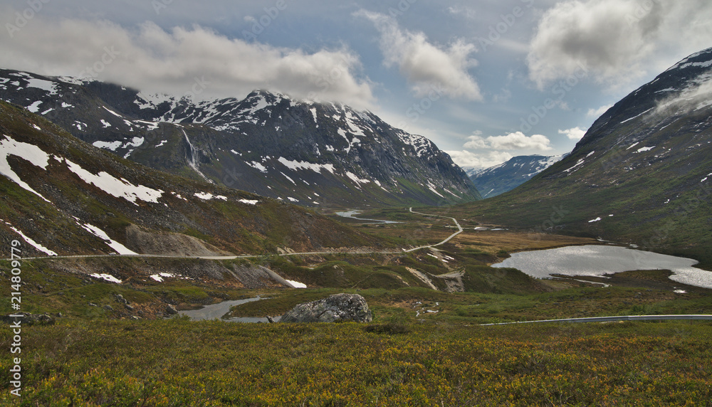 Fototapeta premium Scenic green landscape of Norway during summer time