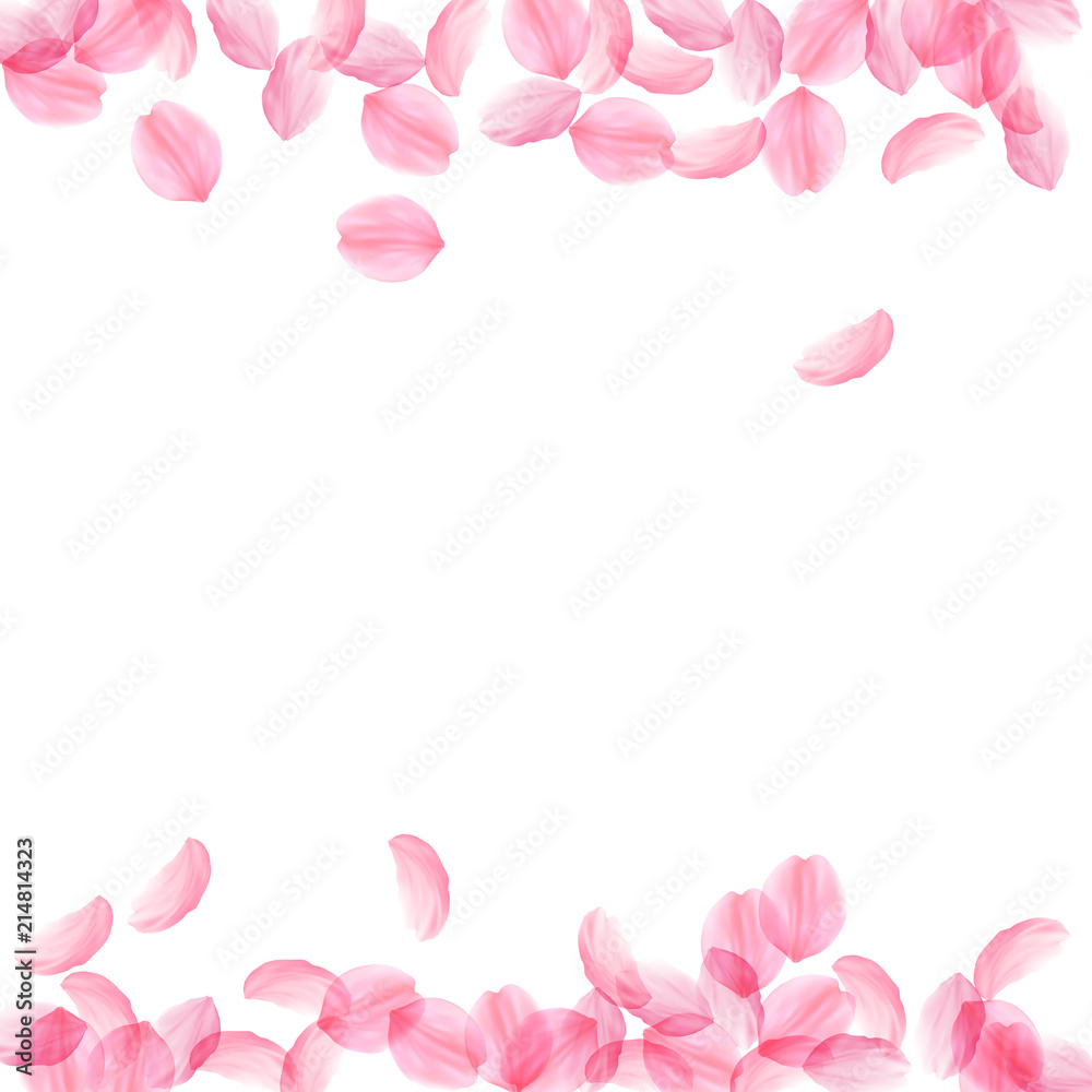 Sakura petals falling down. Romantic pink silky big flowers. Thick flying cherry petals. Borders app