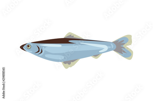 Fish symbol vector illustration.  Herring icon isolated on white background.