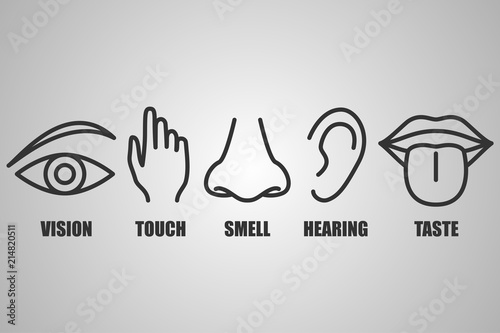 human senses icons