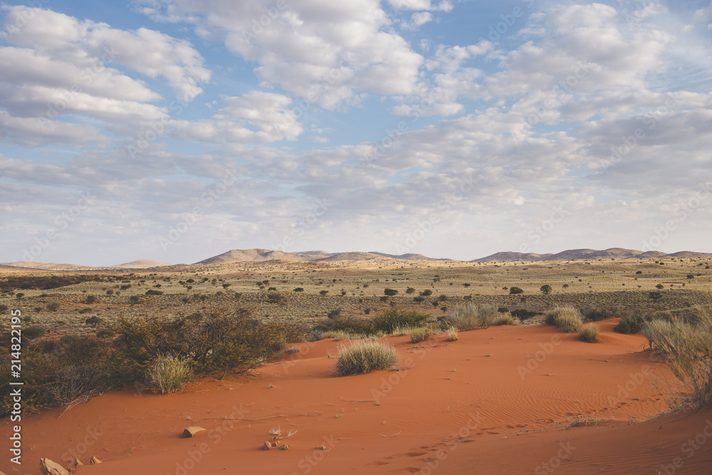 Panoramic landscape photo views over the kalahari region in South Africa