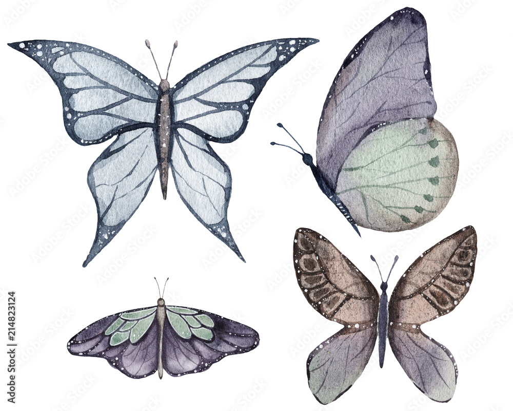 Obraz premium Watercolor butterfly elements