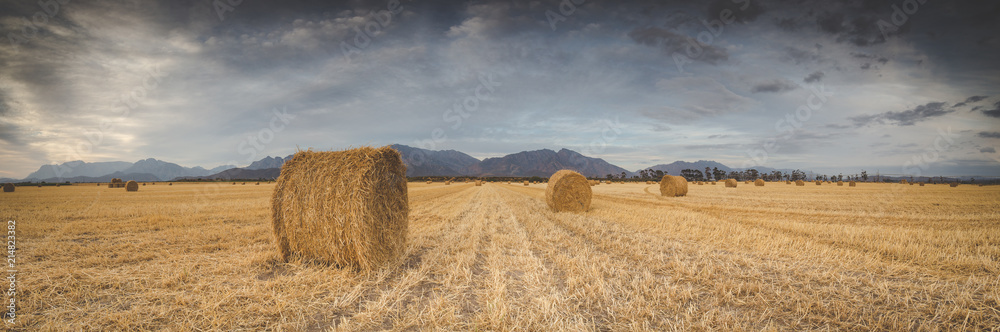 Panoramic views of a brilliant sunset over a meadow with big hay bales.