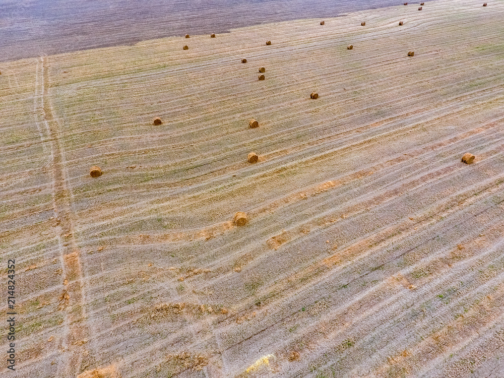 Fototapeta premium Bales of hay in the field. Harvesting hay for livestock feed. Landscape field with hay.