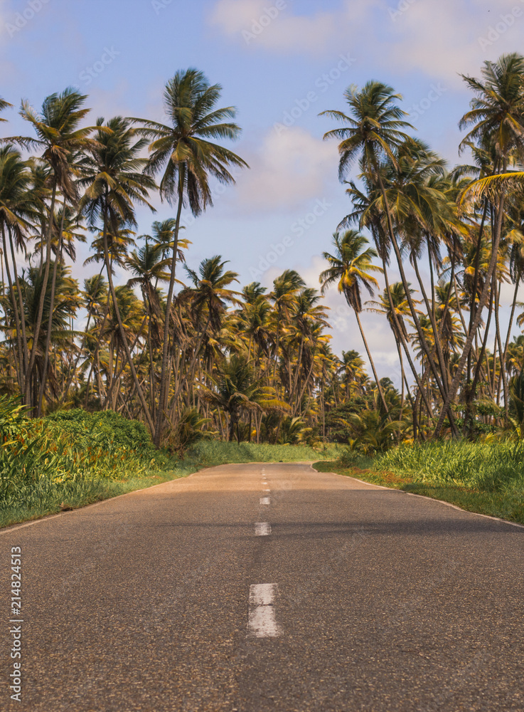 Mayaro Trinidad