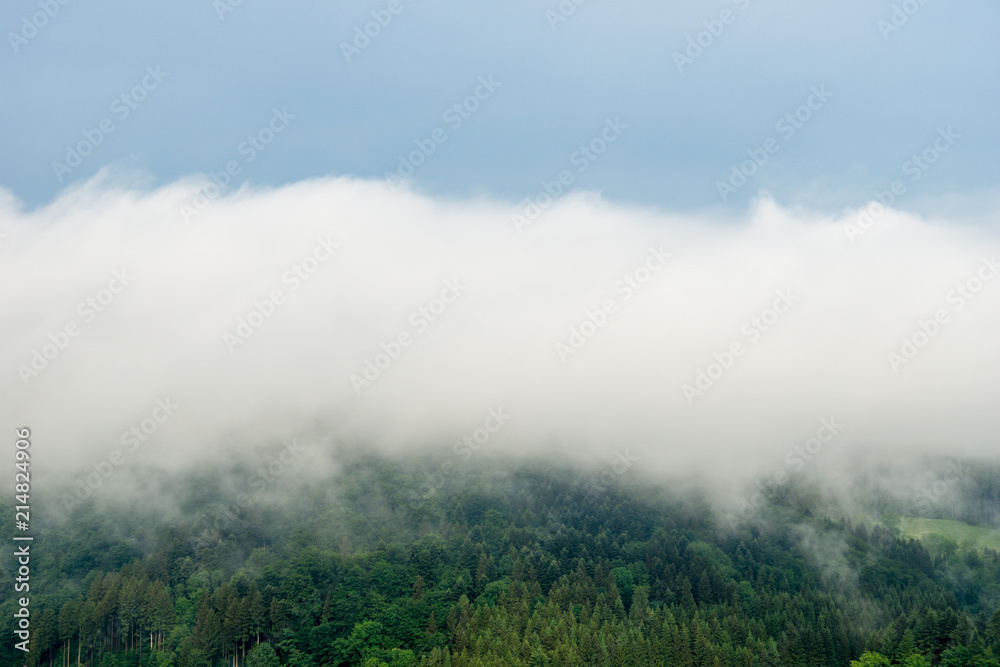 Germany, Early morning above foggy black forest landscape