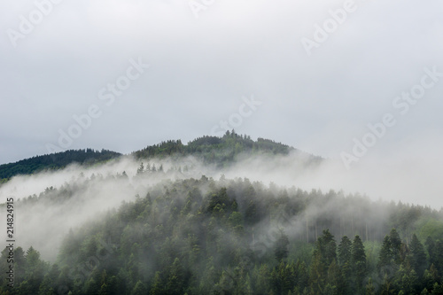 Germany, Misty black forest morning hours from above