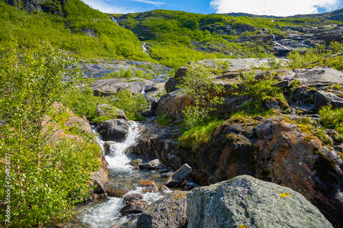 Close-up lovely creek in spring time in Svartisen, Norway © dtatiana