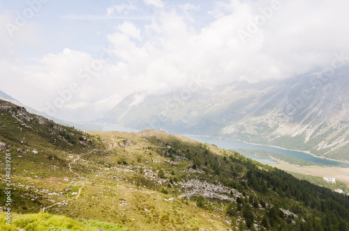 Sils  Furtschellas  Silsersee  Seenplatte  Wanderweg  H  henweg  Val Fex   Marmor    Blumenweg  Alpen  Oberengadin  Graub  nden  Sommer  Schweiz