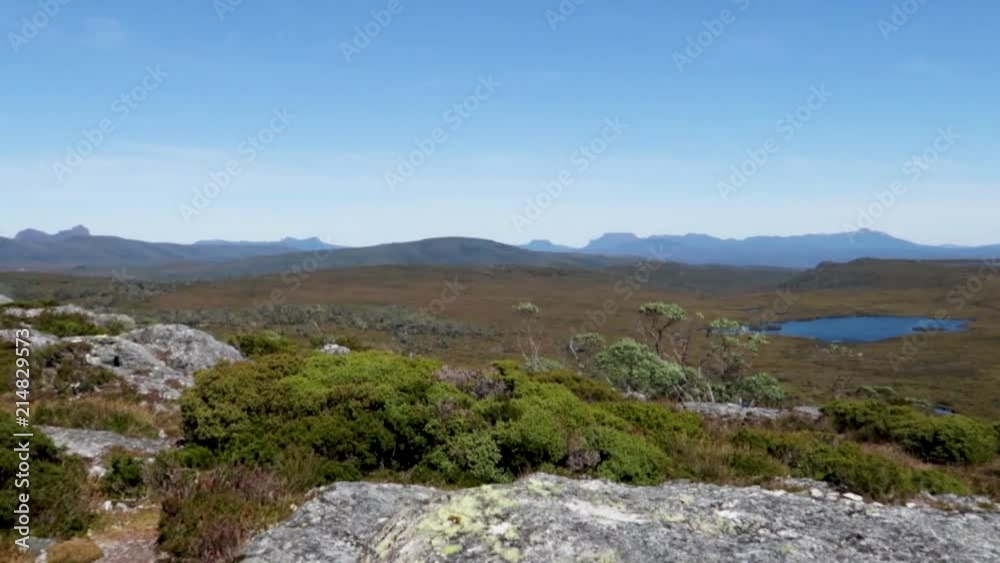 rising above rocks to the wastelands rising above rocks to the wastelands