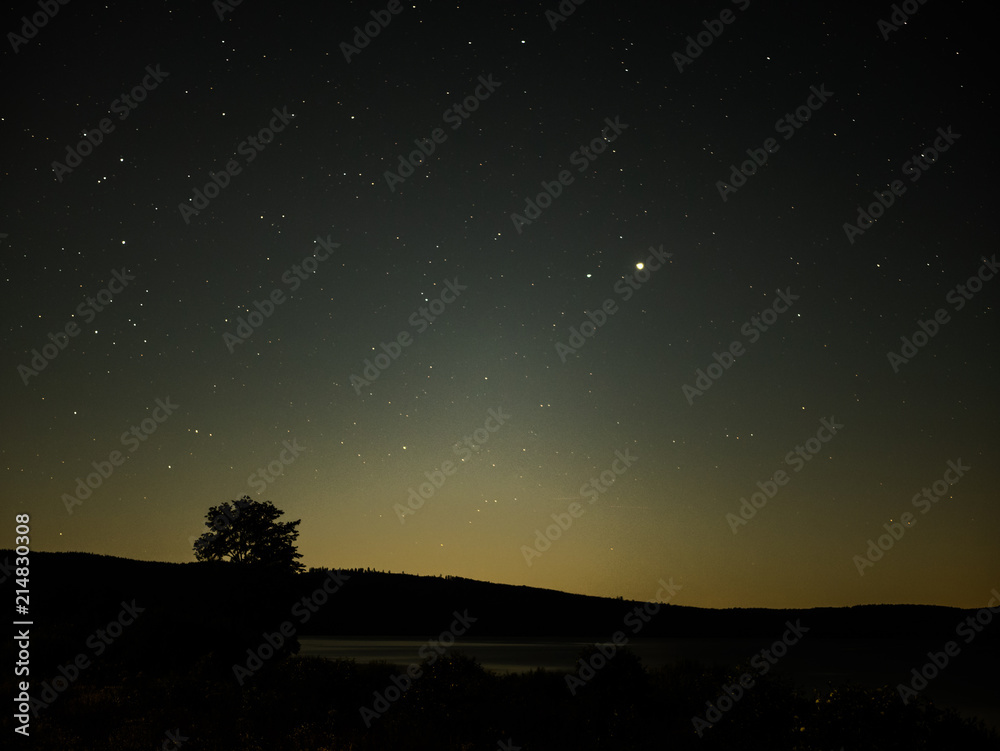 Clear sky with stars over the tree Clear sky with stars over the tree