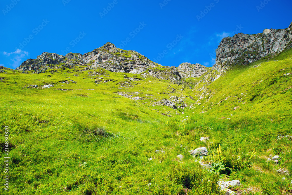 Central Balkan national park in Bulgaria, paty to Botev peak Central Balkan national park in Bulgaria, paty to Botev peak