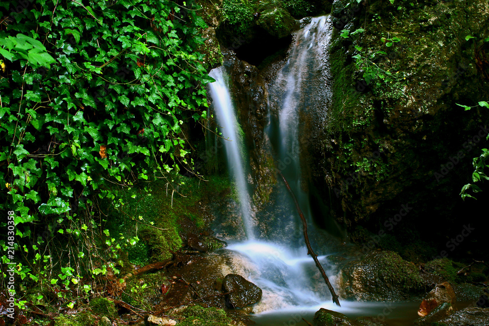 Forest waterfall