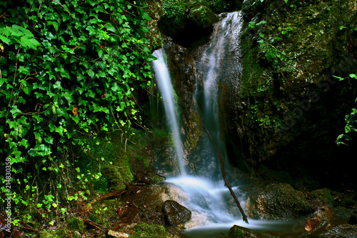 Fototapeta Naklejka Na Ścianę i Meble -  Forest waterfall