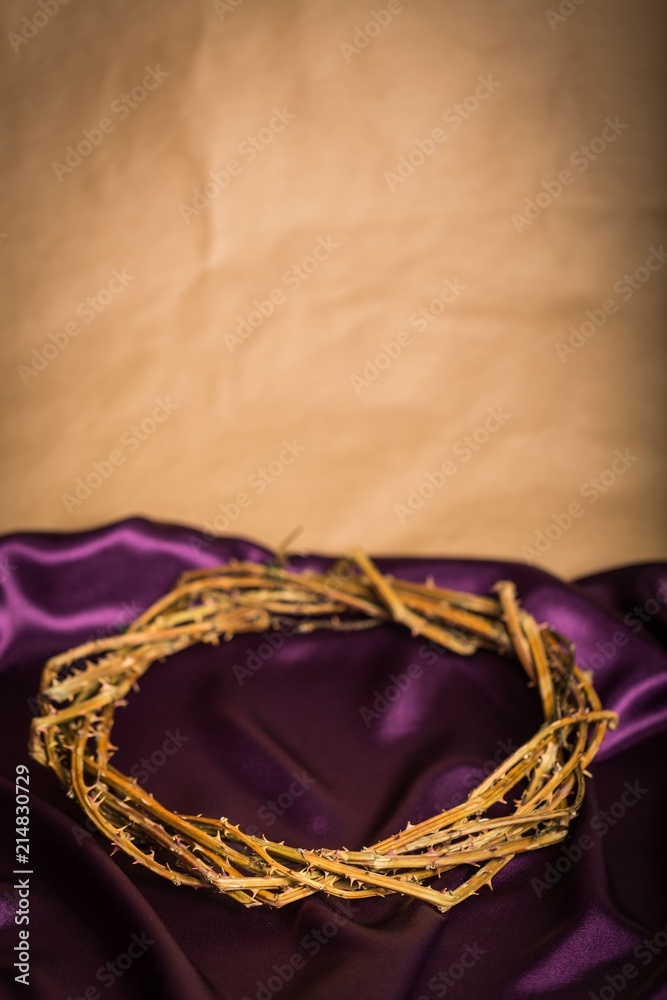 Obraz premium Crown of Thorns