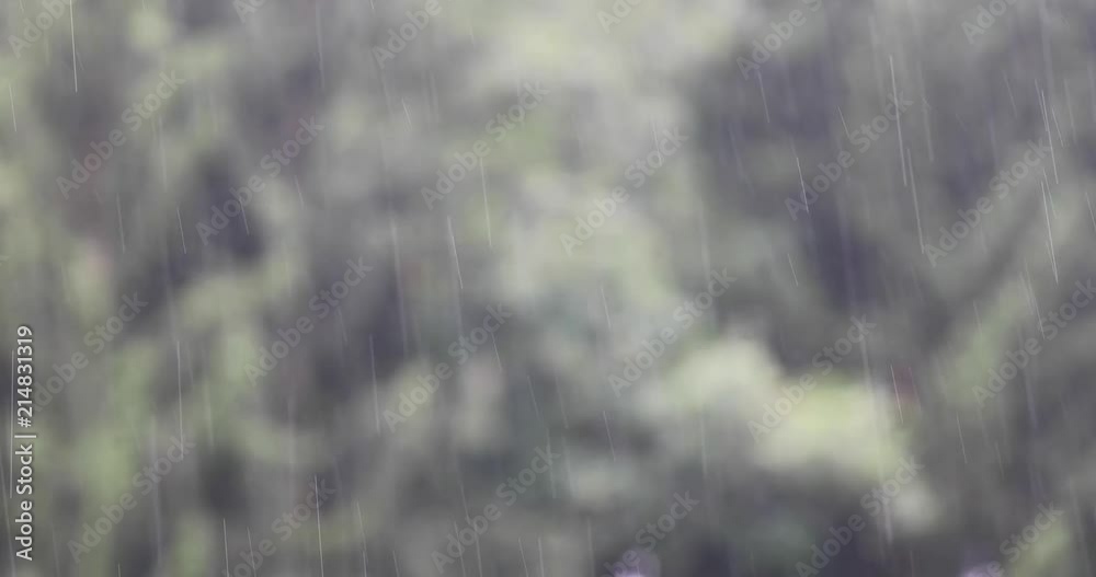 Raindrops on blurry forest background. Raindrops on blurry forest background.