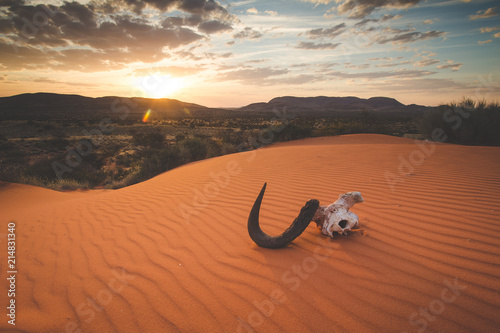 Tablou pe pânză Panoramic landscape photo views over the kalahari region in South Africa