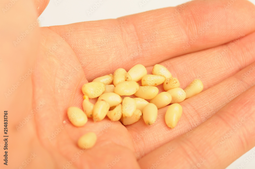 Pile of pine nuts in man's hand Pile of pine nuts in man's hand
