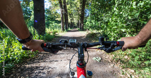 Fotografie Hands on a mountain bike in a forest