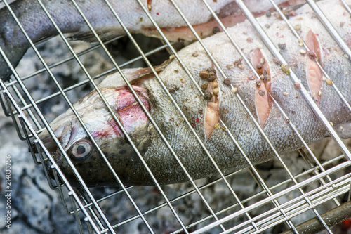 Rainbow salmon in spices fried at the stake on the grill © leksann