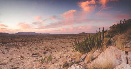 Papier peint photo Pantone 2025 Mocha Mousse Panoramic landscape photo views over the kalahari region in South Africa  © Dewald