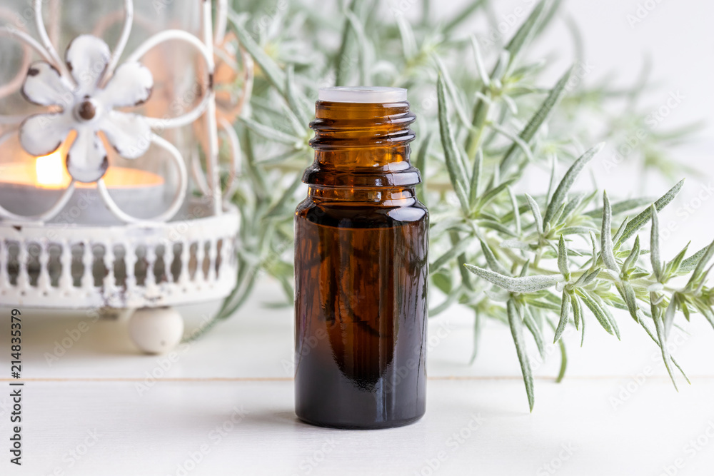 A bottle of wormwood essential oil with fresh Artemisia Absinthium twigs