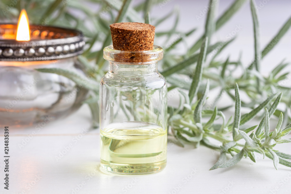 A bottle of wormwood essential oil with fresh Artemisia Absinthium twigs A bottle of wormwood essential oil with fresh Artemisia Absinthium twigs
