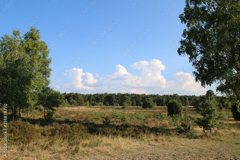 Wunderschöne Wolken bei sengender Hitze über der Lüneburger Heide