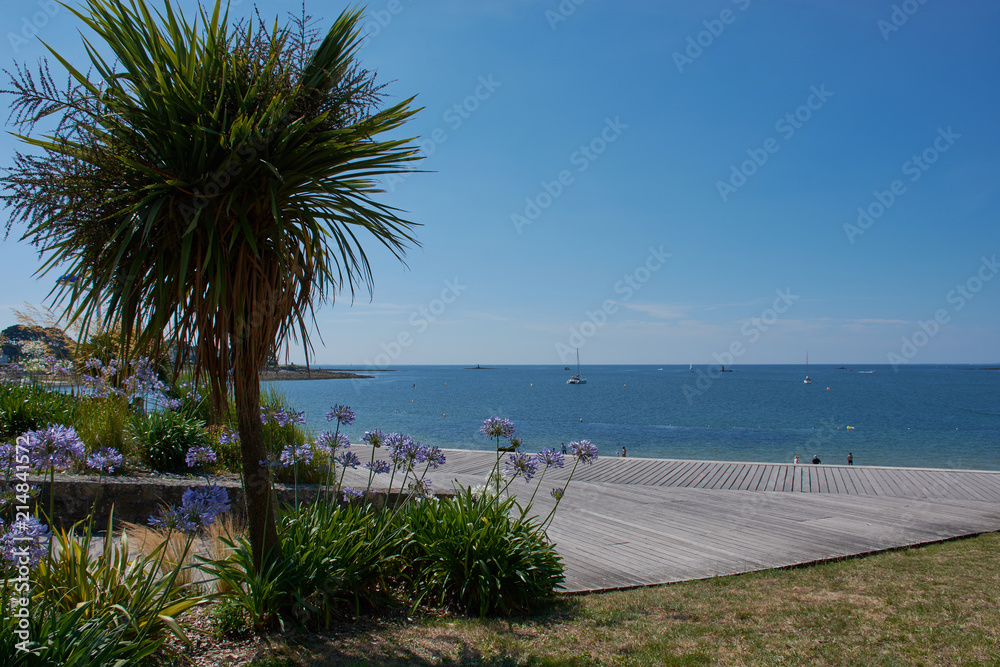 Palmen und Schmucklilien vor der Strandpromenade von Benodet in der Bretagne, Frankreich