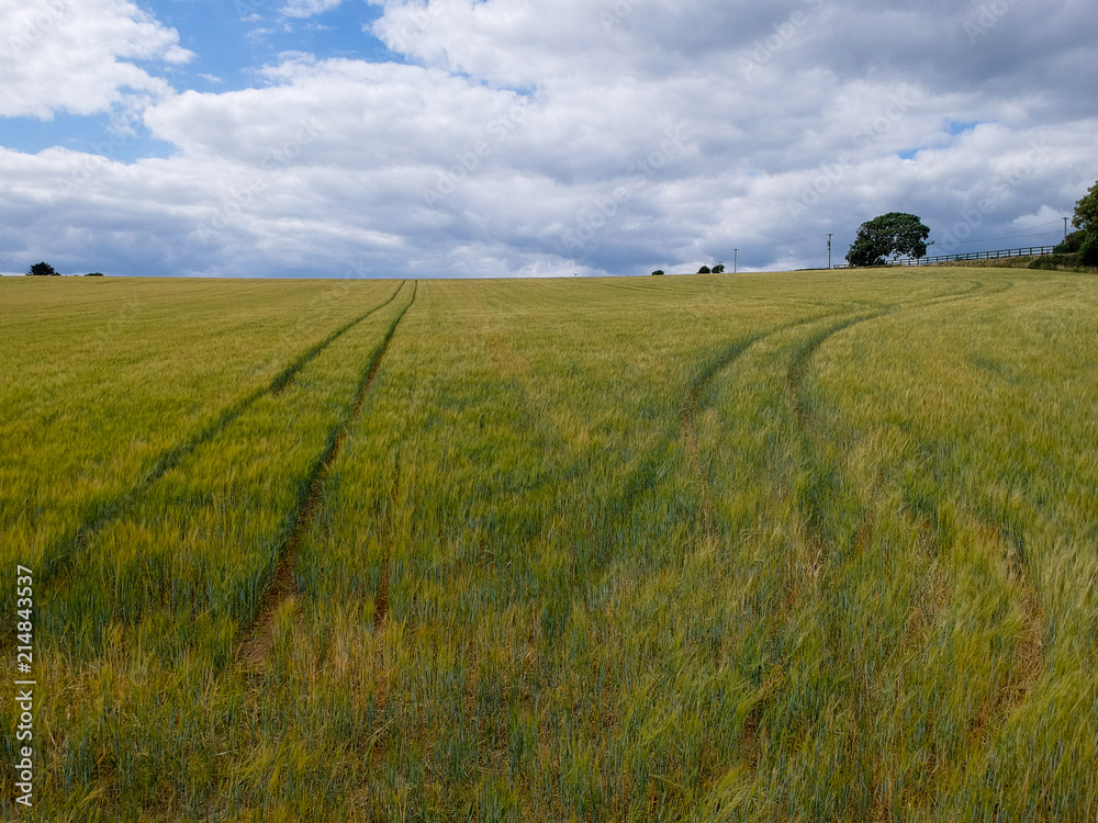 Obraz premium Diverging Paths