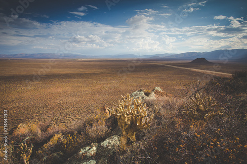 Canvas Print Panoramic views over the Tankwa Karoo Desert with dramatic thunderclouds in the