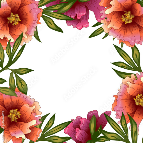 Peony frame flowers in a vector style. Frame border ornament square. Vector flower for background, texture, wrapper pattern, frame or border.