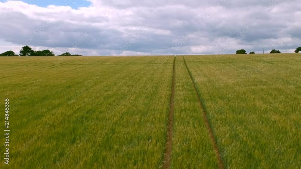 Field Field