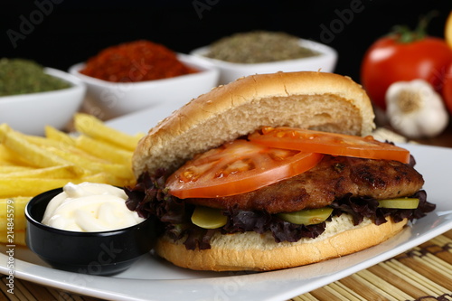 big hamburger with fries