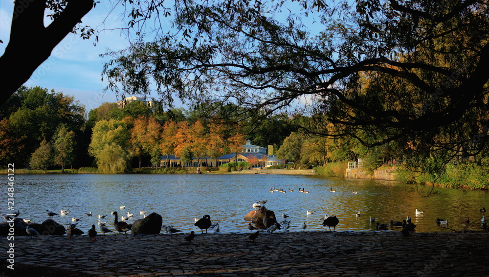Stadtpark mit buntem Herbstlaub in Hamburg Harburg