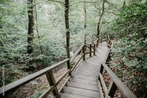 wood bridge