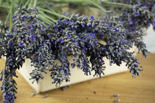 Fresh Lavender