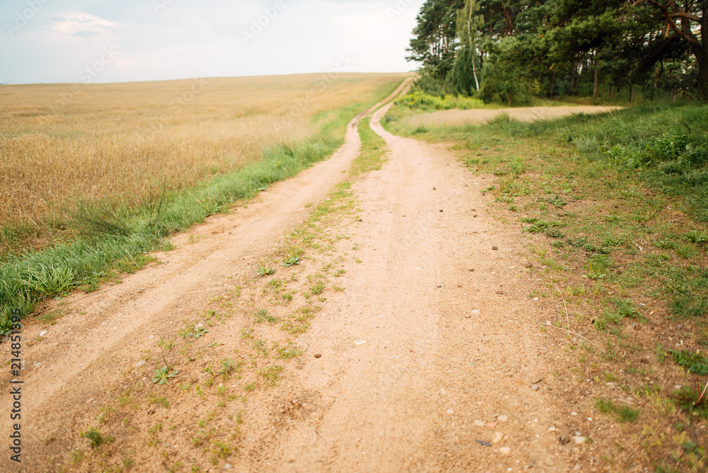 Rural road running through a field in the forest Rural road running through a field in the forest