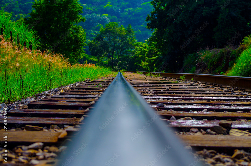Fototapeta premium Train Rail